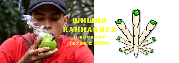 сатива Всеволожск