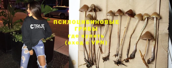 метадон Нязепетровск