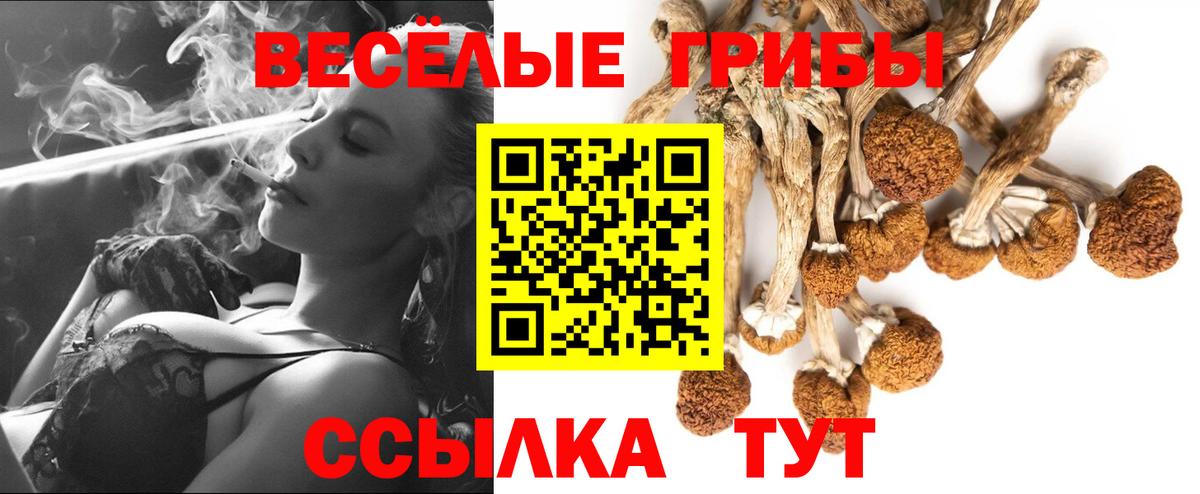 Галлюциногенные грибы Psilocybe  Псилоцибиновые грибы ЛСД  как найти закладки  Рославль  Вход с VPN 